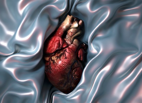 A Love doll’s&nbsp;birth